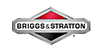 briggs