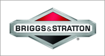 briggs2